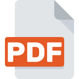 Websee PDF icon